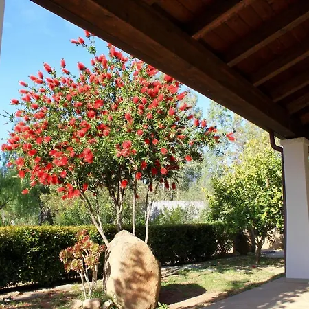 Oda ve Kahvaltı Rossofiore