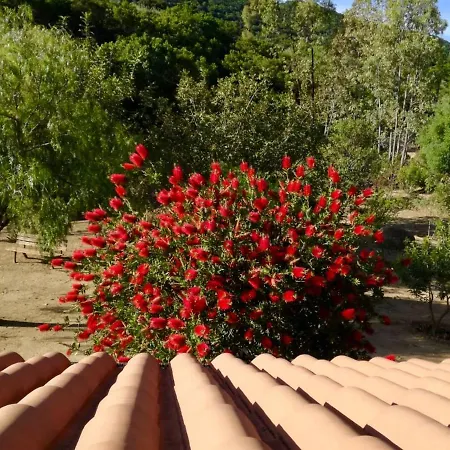 Rossofiore 3* Castiadas