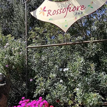 Rossofiore 3*