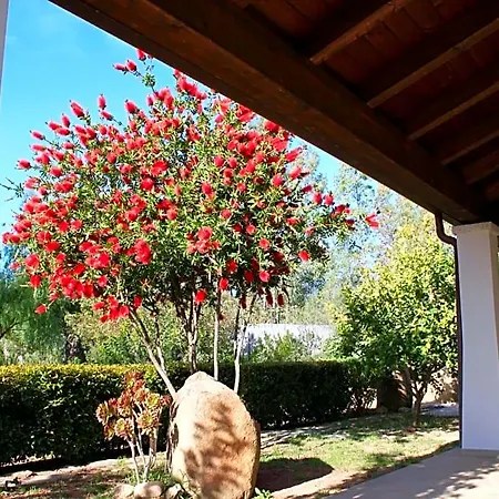 Bed & Breakfast Rossofiore Castiadas
