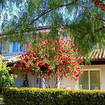 Rossofiore Bed & Breakfast Castiadas