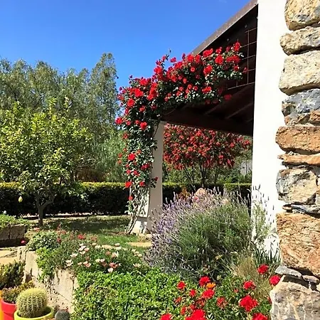 Bed & Breakfast Rossofiore Castiadas