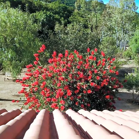 Rossofiore Bed & Breakfast