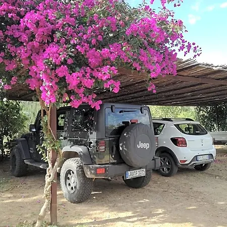 Bed & Breakfast Rossofiore Castiadas