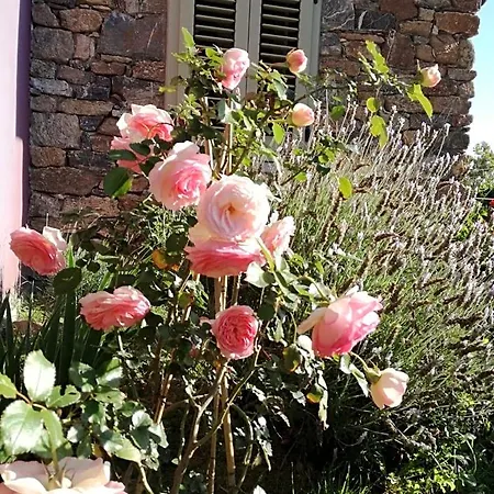 Rossofiore Bed & Breakfast 3*