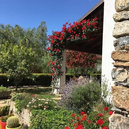 Rossofiore Bed & Breakfast *
